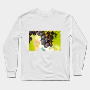 Asian wasps Long Sleeve T-Shirt